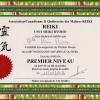 Certificat Reiki 1er Niveau