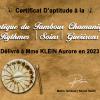 Certificat Tambour Chamanique