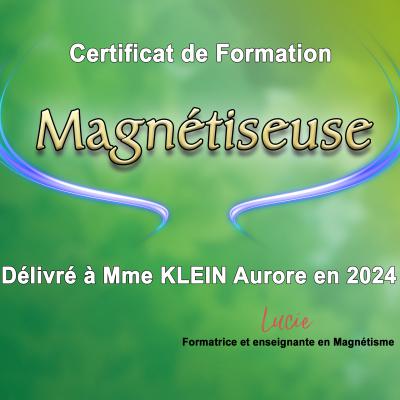Certificat Magnétiseur